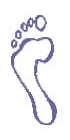 Normal Feet Normal Feet